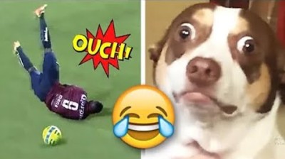 ¡Risas Aseguradas! Los Videos de Risa que Dominarán el 2024