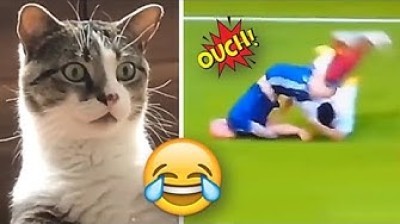 Risas sin Fronteras: Los Videos de Risa 2024 que Conquistan las Redes Sociales