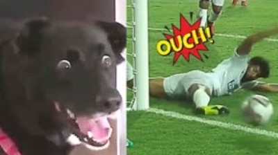 Explora la Nueva Ola de Diversión: Videos de Risa 2024 que Te Dejarán Sin Aliento