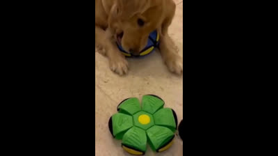 #flyingsaucerball #dogslife #InteractivePetToy #linkinbio #fypシ゚viralシ