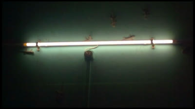 ROADS Portishead con traduzione italiano