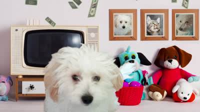 ⭐ TEDDY YFD ⭐ Episode #7 ⭐ Artistic Tendencies ⭐