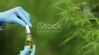 Euphoria Green CBD: Natural Wellness Redefined